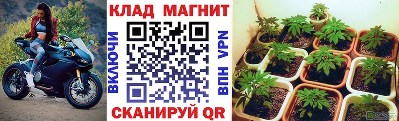 Виды наркоты Емва COCAIN  hydra рабочий сайт  МАРИХУАНА  Меф  Амфетамин  Псилоцибиновые грибы 