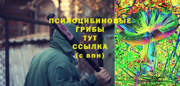 твердый Покровск