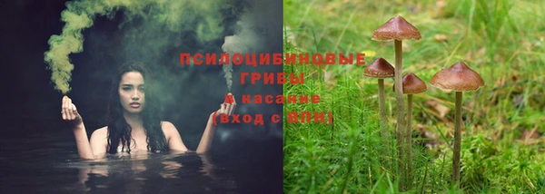 твердый Покровск