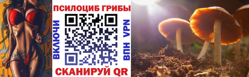 Псилоцибиновые грибы прущие грибы  купить наркоту  Емва 
